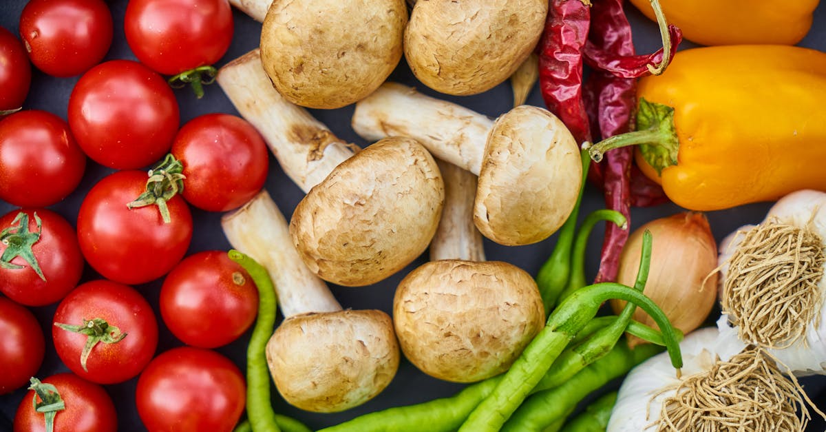 découvrez l'univers de la nutrition : conseils pratiques, recettes équilibrées et informations sur les nutriments essentiels pour vous aider à mener une vie saine et équilibrée. apprenez à mieux manger pour votre bien-être au quotidien.
