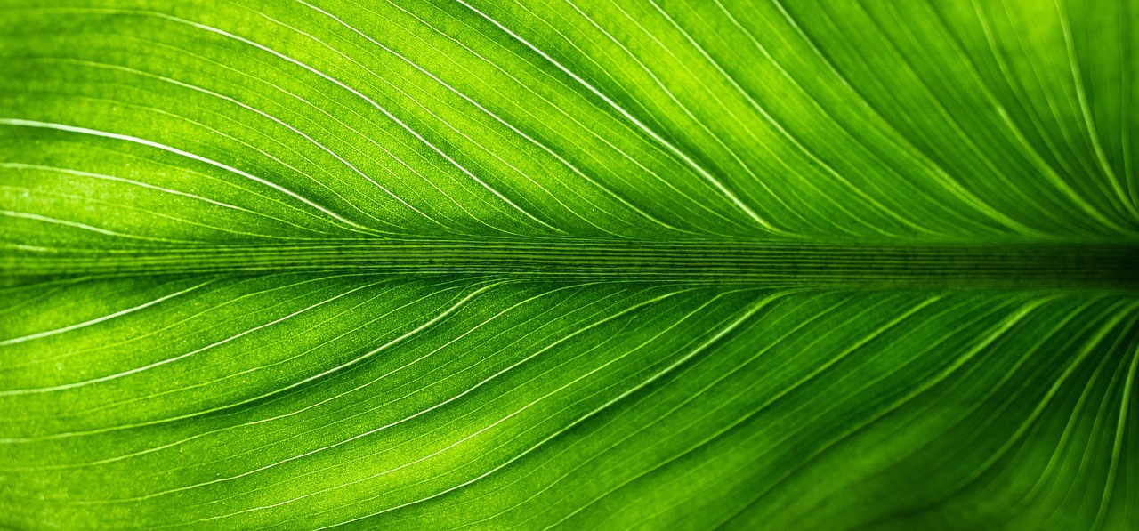 découvrez notre sélection de cadeaux pour bébés respectueux de l'environnement, alliant douceur, sécurité et durabilité pour un premier pas éco-responsable.