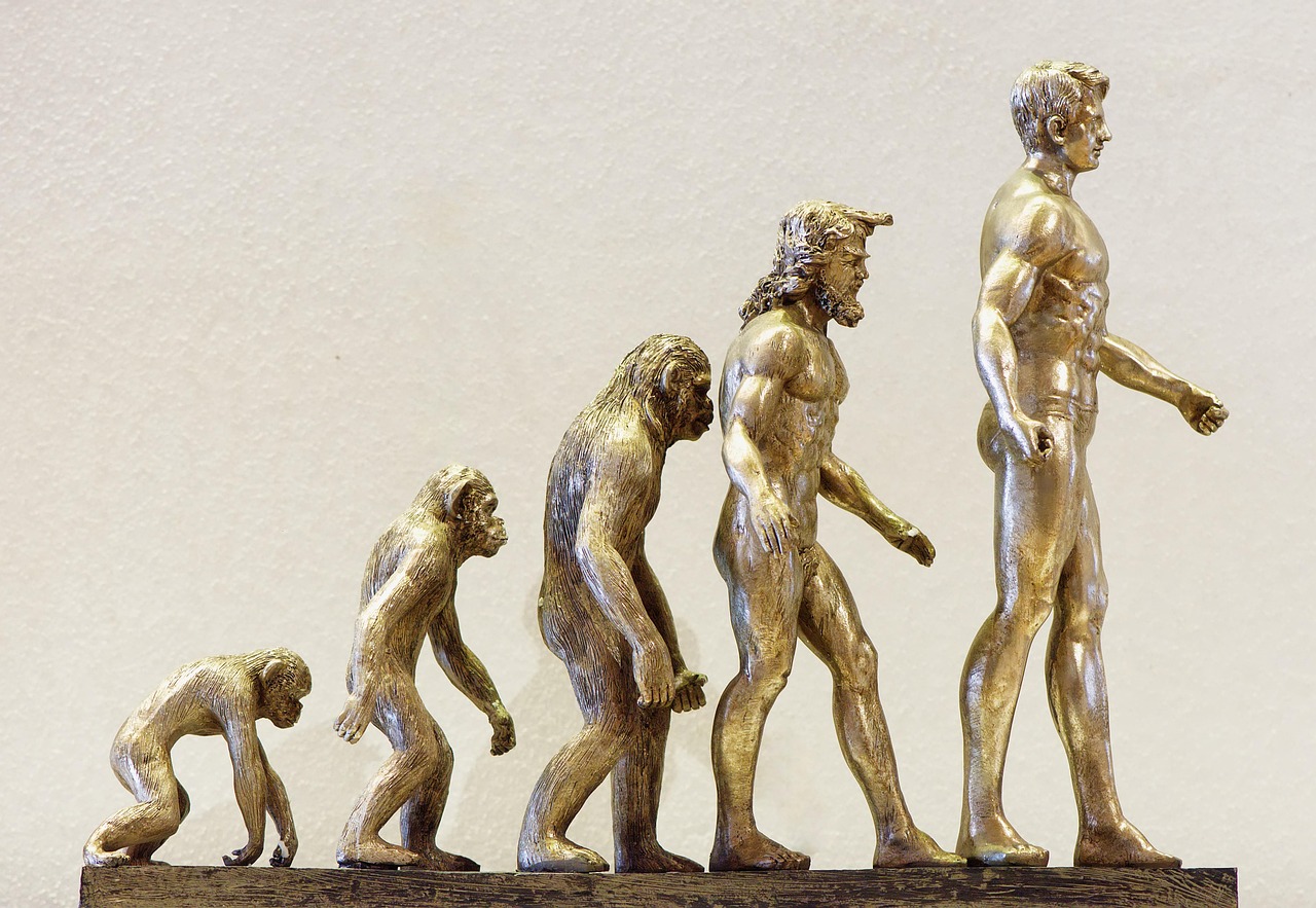 découvrez l'évolution du congé parental en france, ses réformes récentes et son impact sur les familles.