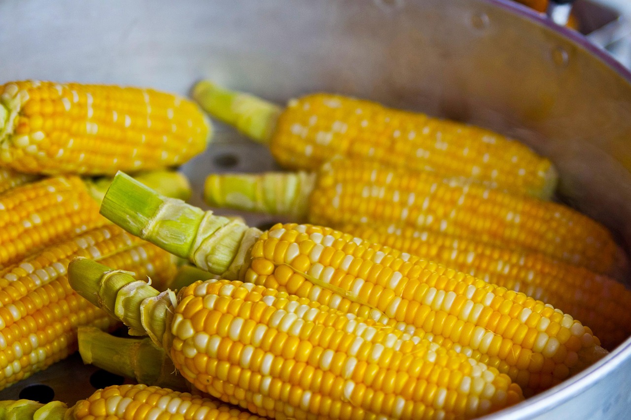 découvrez nos conseils et astuces sur la nutrition pour améliorer votre santé, adopter une alimentation équilibrée et atteindre vos objectifs bien-être au quotidien.