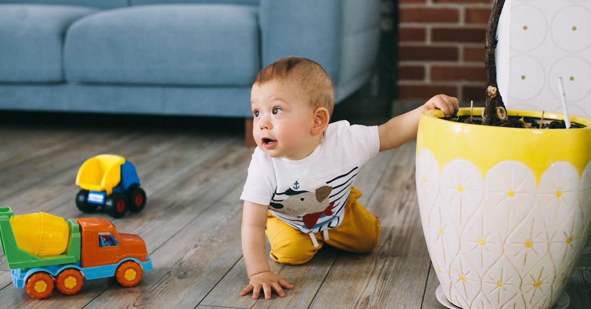découvrez notre collection de vêtements pour enfants alliant style, confort et qualité. offrez à vos petits des tenues tendance pour chaque occasion, de la sortie en famille aux jeux au parc. explorez notre sélection dès maintenant!