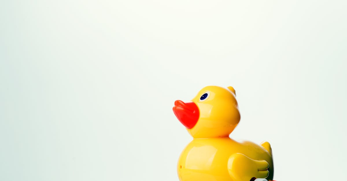 Jouets pour bébés : conseils pour choisir les meilleurs modèles