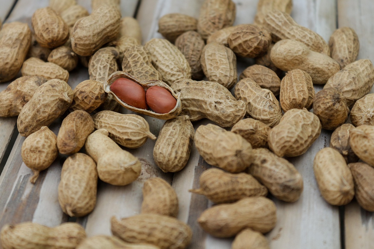 Alimentation pendant la grossesse : ce qu’il faut savoir