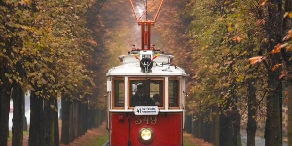 informations importantes sur les rappels de produits : sécurité, procédures et conseils pour les consommateurs.